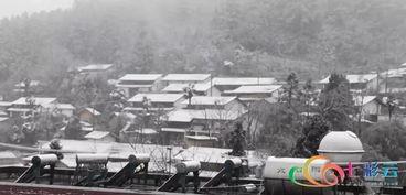 昆明爆料下雪视频最新,市民欢声笑语迎瑞雪