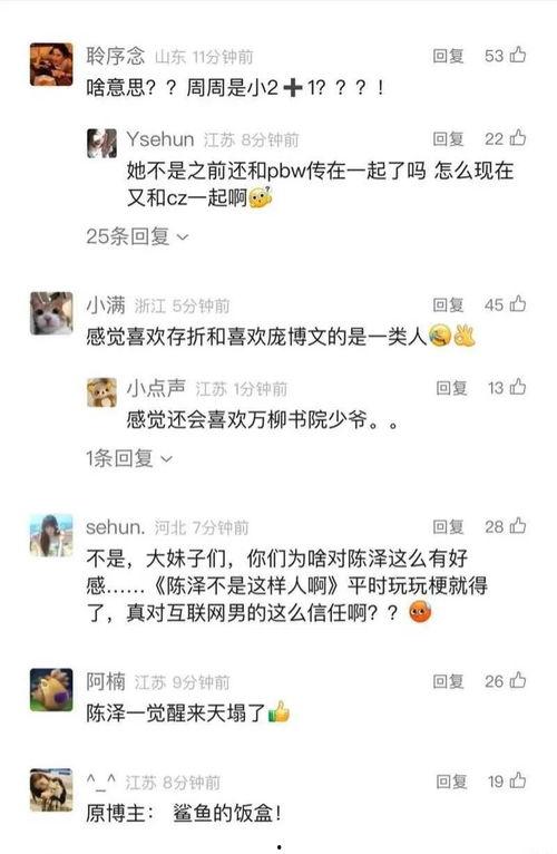 网红陈泽爆料视频大全,揭秘幕后真相与热点事件